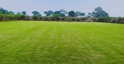DHA FARMHOUSE 141