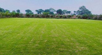 DHA FARMHOUSE 141