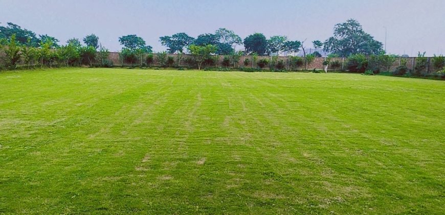 DHA FARMHOUSE 141