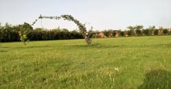 DHA FARMHOUSE 141