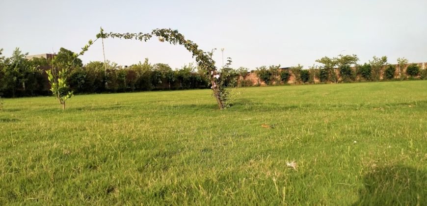 DHA FARMHOUSE 141