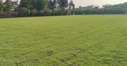 DHA FARMHOUSE 141