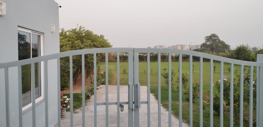 DHA FARMHOUSE 141