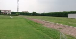 BARKI ROAD FARMHOUSE 50