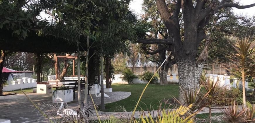 BARKI ROAD FARMHOUSE 62