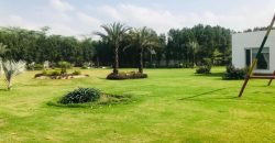 BARKI ROAD FARMHOUSE 62