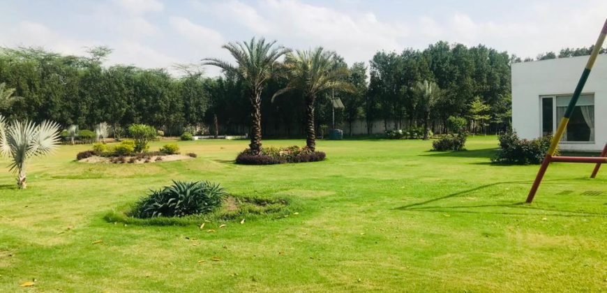 BARKI ROAD FARMHOUSE 62
