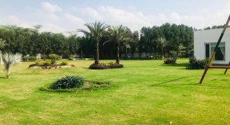 BARKI ROAD FARMHOUSE 62