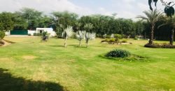 BARKI ROAD FARMHOUSE 62