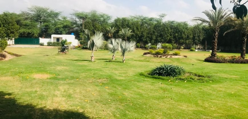 BARKI ROAD FARMHOUSE 62
