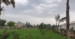 FEROZPUR ROAD FARMHOUSE 38