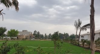 FEROZPUR ROAD FARMHOUSE 38