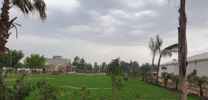 FEROZPUR ROAD FARMHOUSE 38