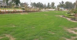 FEROZPUR ROAD FARMHOUSE 38