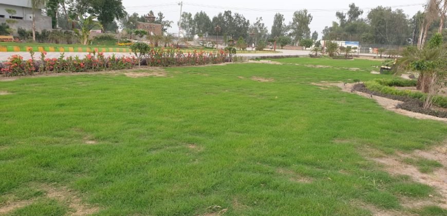 FEROZPUR ROAD FARMHOUSE 38