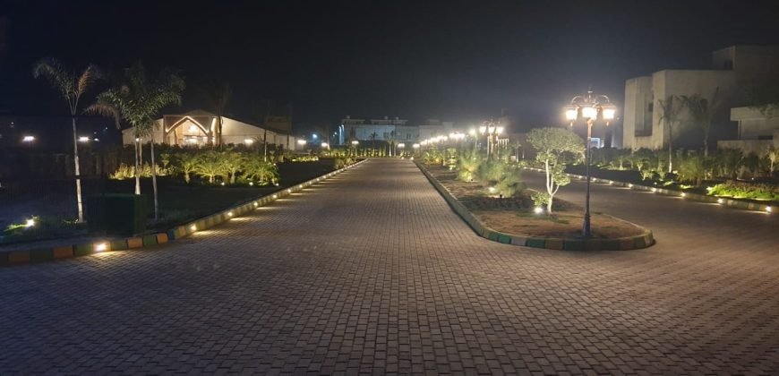 FEROZPUR ROAD FARMHOUSE 38