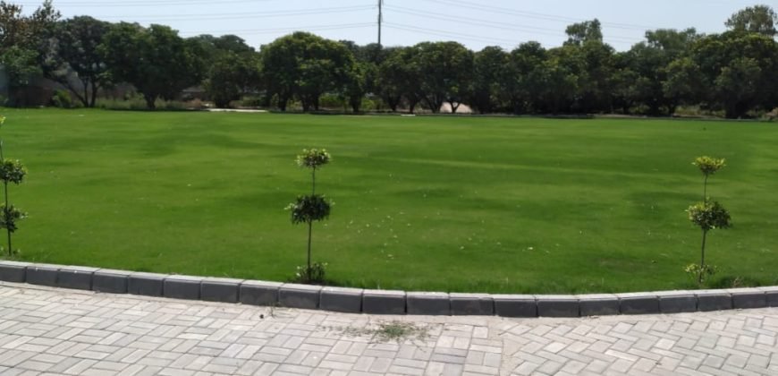 THOKAR NIAZ BAIG FARMHOUSE 73