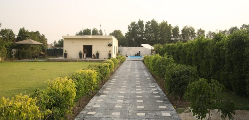 BARKI ROAD FARMHOUSE 83