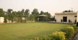 BARKI ROAD FARMHOUSE 83