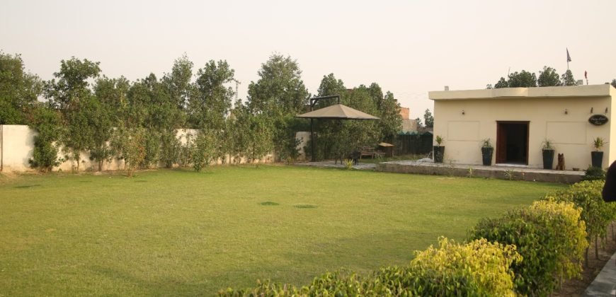 BARKI ROAD FARMHOUSE 83