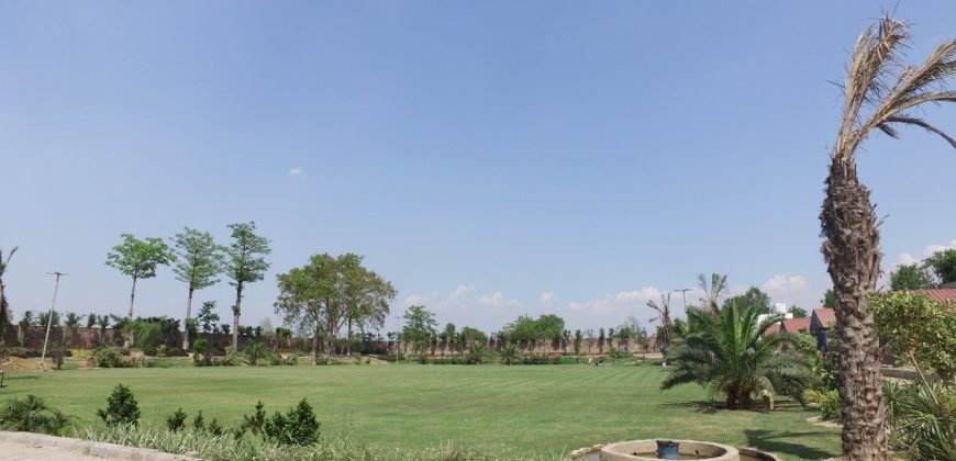 SWIMMING POOL FEROZPUR ROAD 129