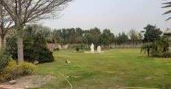 BARKI ROAD FARMHOUSE 118