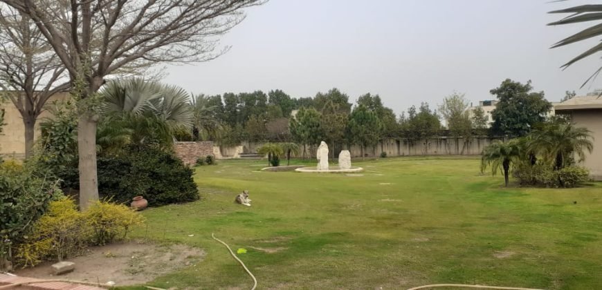 BARKI ROAD FARMHOUSE 118