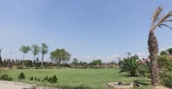 SWIMMING POOL LDA 35