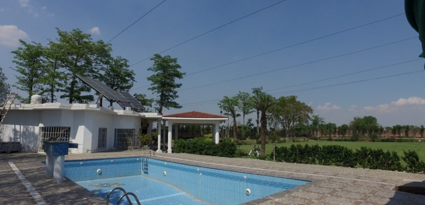 BARKI ROAD FARMHOUSE 118
