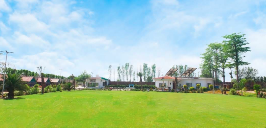 LDA FARMHOUSE 43