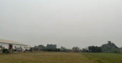 LAHORE CITY FARMHOUSE  274