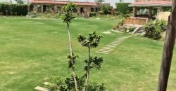 BARKI ROAD FARMHOUSE 95