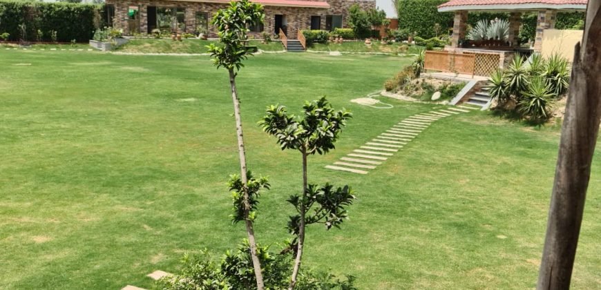 BARKI ROAD FARMHOUSE 95