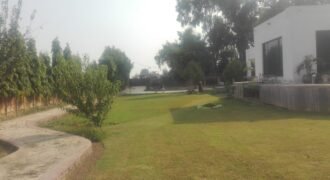 BEDIAN ROAD FARMHOUSE 03