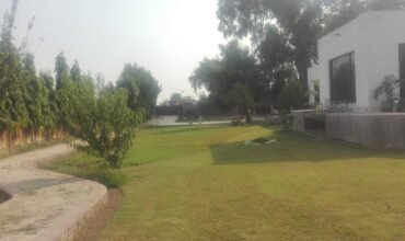 BEDIAN ROAD FARMHOUSE 03
