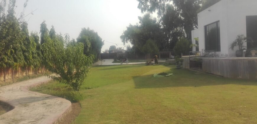 BEDIAN ROAD FARMHOUSE 03