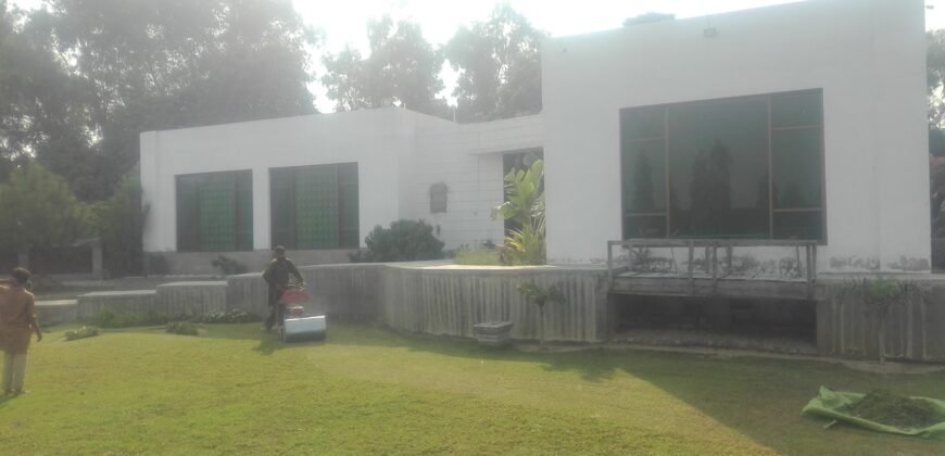 BEDIAN ROAD FARMHOUSE 03