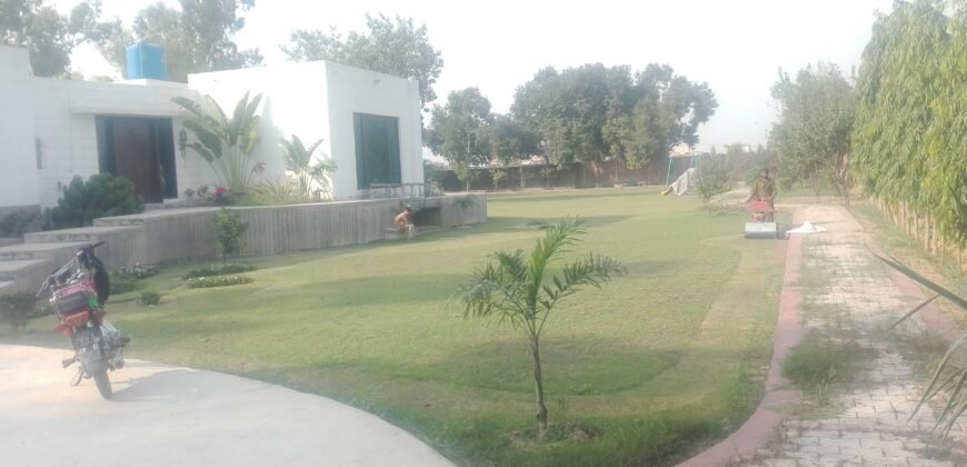 BEDIAN ROAD FARMHOUSE 03