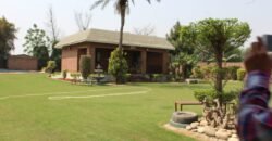 BEDIAN ROAD FARMHOUSE 11