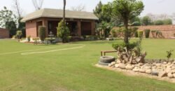 BEDIAN ROAD FARMHOUSE 11