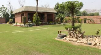 BEDIAN ROAD FARMHOUSE 11