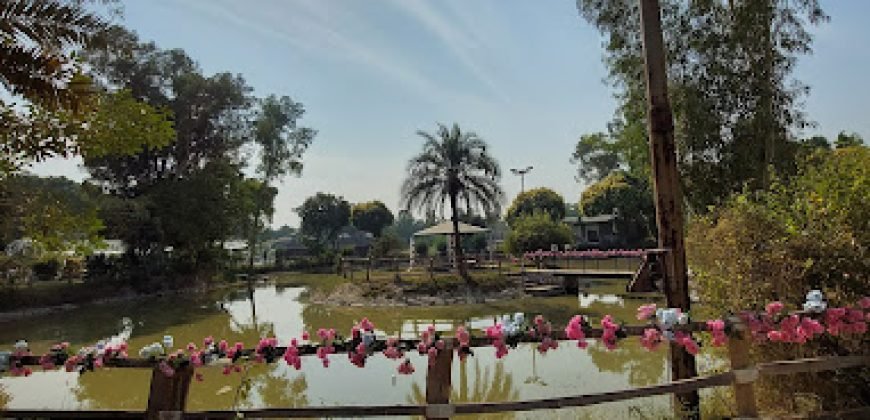 SWIMMING POOL RAIWIND ROAD 30