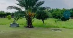 BEDIAN ROAD FARRMHOUSE 269