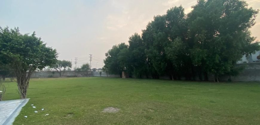 VALENCIA FARMHOUSE 72