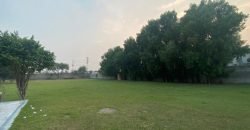 JOHAR TOWN FARMHOUSE  149