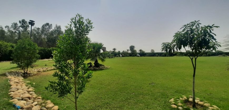 BEDIAN ROAD FARM HOUSE 86
