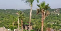 ISLAMABAD RESORT 117