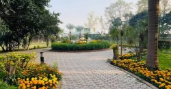 RAIWIND ROAD FARMHOUSE 28