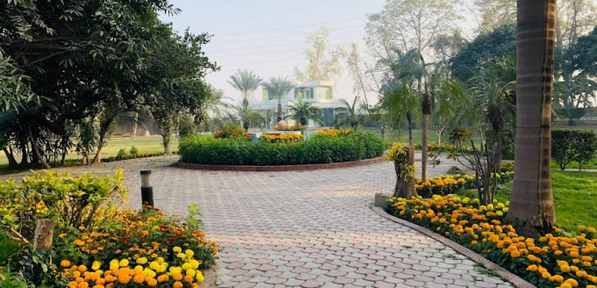 RAIWIND ROAD FARMHOUSE 28