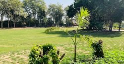 RAIWIND ROAD FARMHOUSE 28